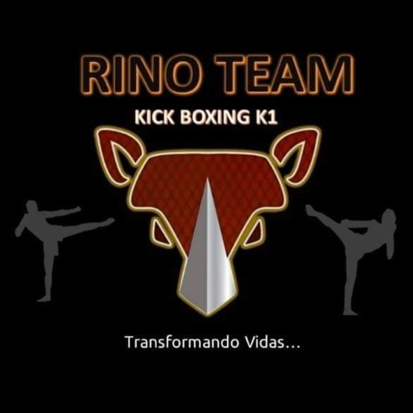 Rino Team
